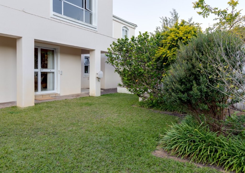 Whale-a-While thumbnail 6